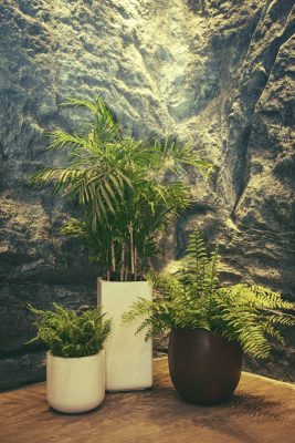 Chậu-composite-Minh Quang