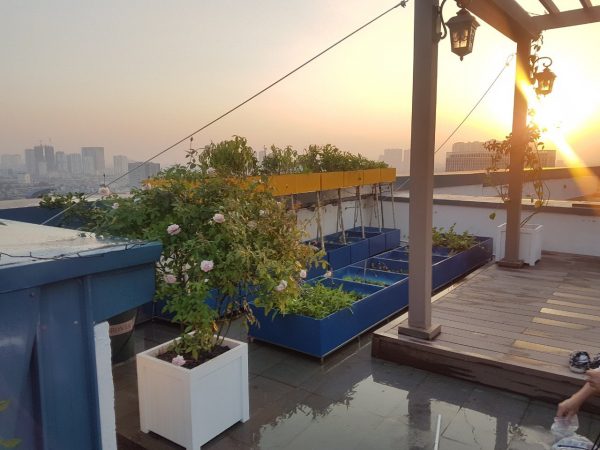 Chậu composite Chậu kẻ dọc 1