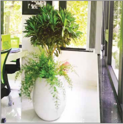 Chậu Composite Minh Quang