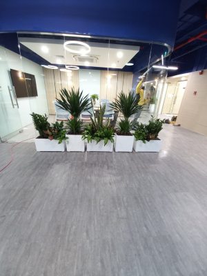 chậu xi măng nhẹ