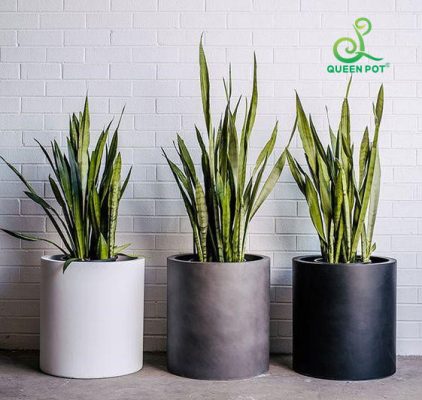 Chậu Composite – Giải pháp xanh cho văn phòng, showroom hiện đại