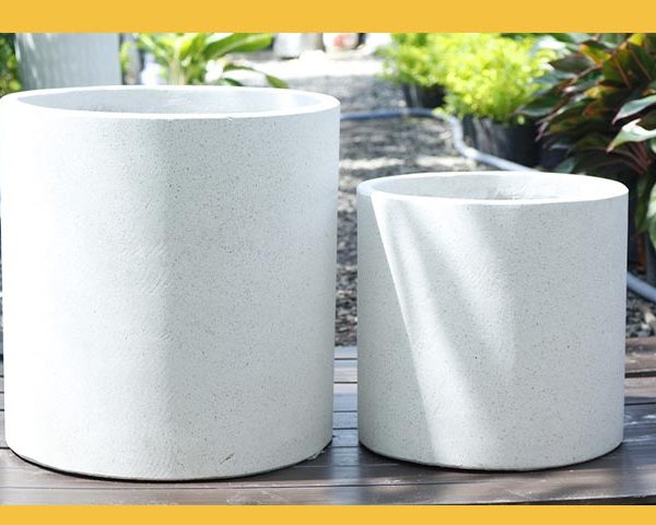 chau-xi-mang-da-mai-tron-tru-lon