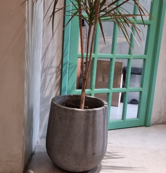 Chậu xi măng nhẹ