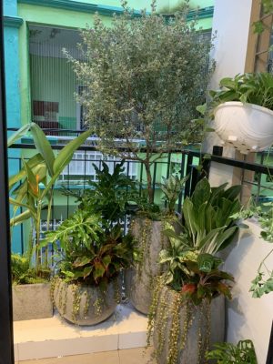 Chậu xi măng nhẹ