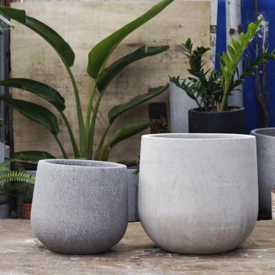 Chậu tròn bầu đáy thấp