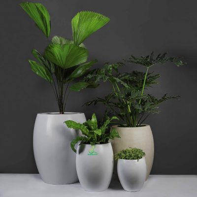 Địa chỉ uy tín mua chậu cây composite