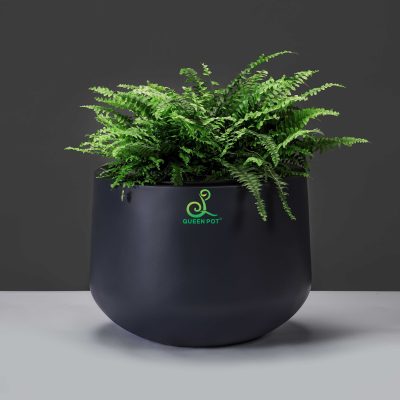 5 lợi ích khi sử dụng chậu cây composite trong trang trí nội thất