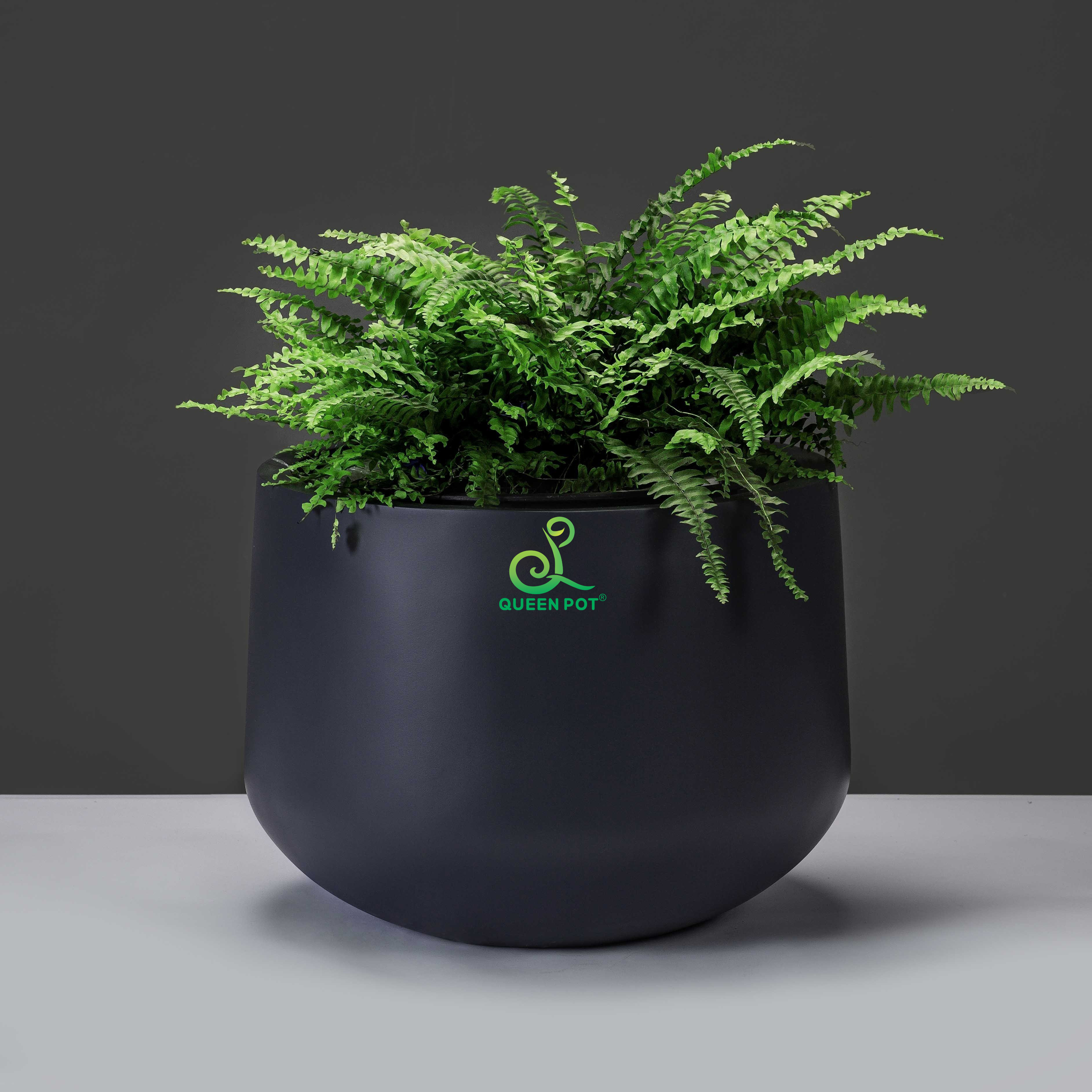 5 lợi ích khi sử dụng chậu cây composite trong trang trí nội thất