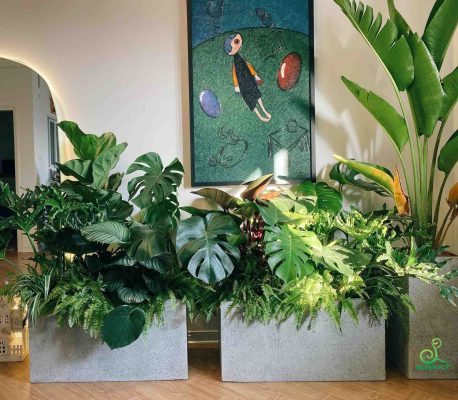 Giữ dáng ổn định