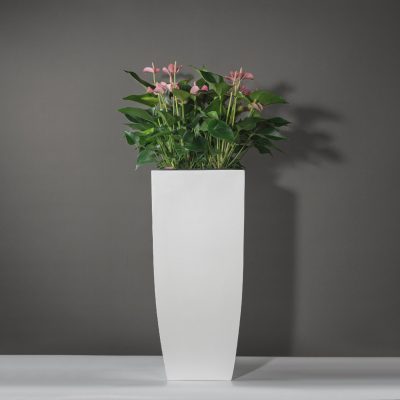 Chậu composite trang trí phòng ngủ