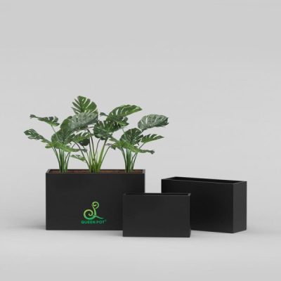 Chậu composite trang trí phòng khách