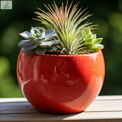 Mẫu chậu Composite Queen Pot