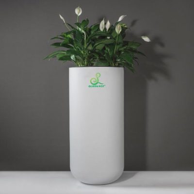 Chậu cây phong thủy Composite màu trắng hợp mệnh Kim