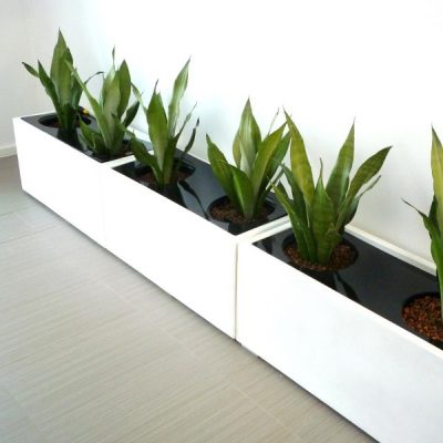 Ứng dụng trong resort và khu nghỉ dưỡng