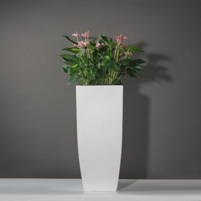 Ứng dụng cho căn hộ