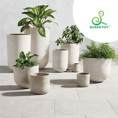 Thiết kế sang trọng, tinh tế