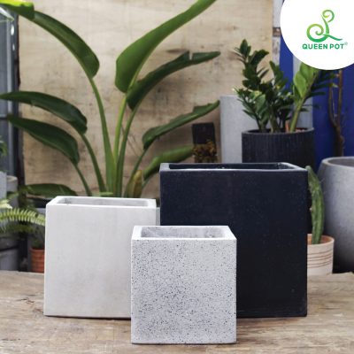 Chậu cây đá mài trong không gian mở