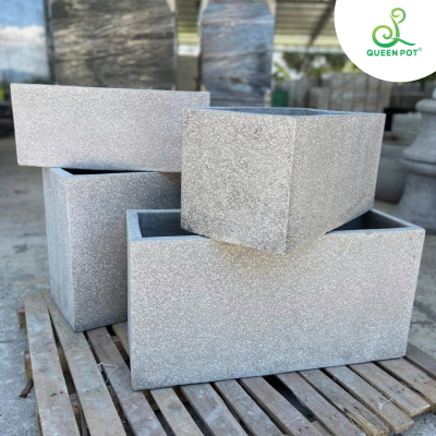 Xu hướng trang trí chậu cây đá mài được ưa chuộng 2025