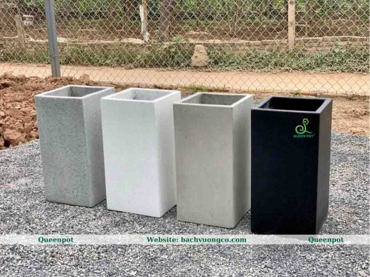 Chậu trồng cây kích thước lớn – Cách vận chuyển & lắp đặt