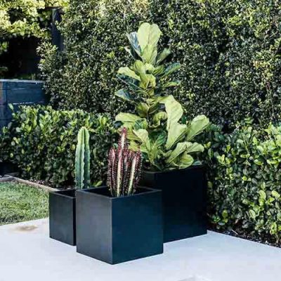 Chậu trồng cây cho khu đô thị – 5 yếu tố bắt buộc phải có