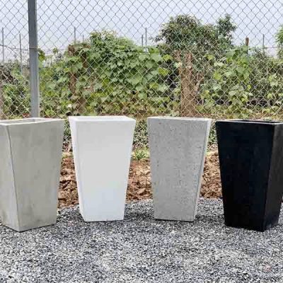 Chống thấm, chống rêu mốc