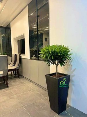 Chậu xi măng nhẹ vuông vát