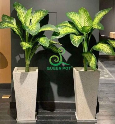 Chậu xi măng đá mài