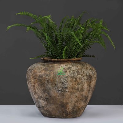 Cách nhận biết chậu composite chất lượng cao