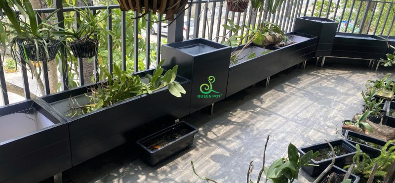 Lợi ích khi dùng chậu trồng cây composite cho dự án đô thị