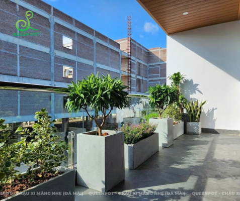 Nhà thầu cần biết gì khi chọn chậu cảnh cho dự án?