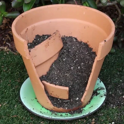 Chậu dễ nứt vỡ, độ bền kém