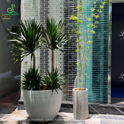 Khu vực sảnh đón khách