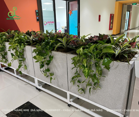 Chậu đá mài có bền không? Những điều bạn cần biết trước khi mua