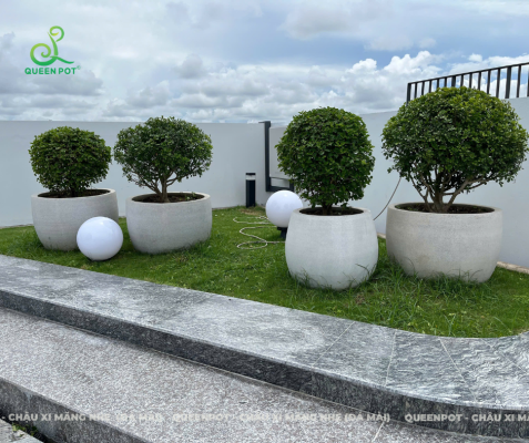 Phù hợp với xu hướng kiến trúc xanh