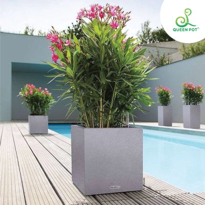 Khu vực hồ bơi và sân vườn